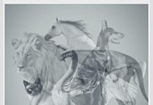 Jungov test otkriva koju osobinu skrivate: Životinja koju prvo vidite pokazaće da li ste lenji ili arogantni