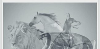 Jungov test otkriva koju osobinu skrivate: Životinja koju prvo vidite pokazaće da li ste lenji ili arogantni