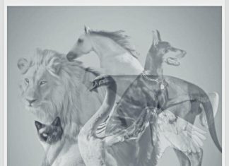 Jungov test otkriva koju osobinu skrivate: Životinja koju prvo vidite pokazaće da li ste lenji ili arogantni