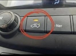 Policajac me ovome naucio .Mnogi vozaći nisu sigurni kad da koriste ovo važno dugme.