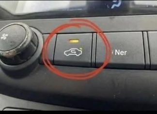 Policajac me ovome naucio .Mnogi vozaći nisu sigurni kad da koriste ovo važno dugme.