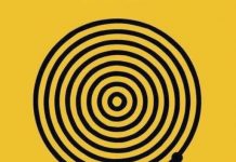 Vizuelni test koji podstiče razmišljanje: Koliko krugova vidiš na slici?