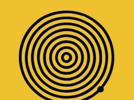 Vizuelni test koji podstiče razmišljanje: Koliko krugova vidiš na slici?