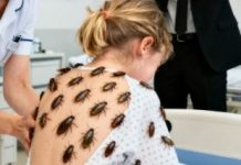 Tajna koju je nosila: Priča o Laninom životu punom bola, zanemarivanja i borbe za sreću