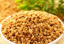 Ovu biljku skoro niko ne jede u Srbiji, a u njoj se krije pravo blago, čini čuda za organizam: Endokrinolog otkriva sve njene blagodeti