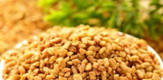 Ovu biljku skoro niko ne jede u Srbiji, a u njoj se krije pravo blago, čini čuda za organizam: Endokrinolog otkriva sve njene blagodeti