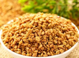 Ovu biljku skoro niko ne jede u Srbiji, a u njoj se krije pravo blago, čini čuda za organizam: Endokrinolog otkriva sve njene blagodeti