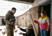 “Vojnik se vratio kući nakon rata, ali ono što je zatekao u štali promenilo mu je život zauvek”