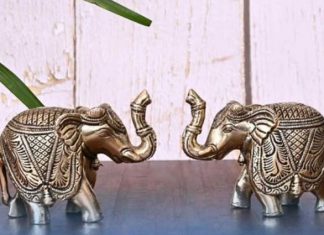 Svi ga imaju u kućI, ali ga pogrešno drže: Evo gdje I kako slon treba da stoji da bi donio sreću