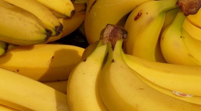 Devojka je jela samo i isključivo banane čak 12 dana: Htela je da očisti organizam, evo šta joj se na kraju desilo