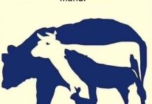 Dakle… koju životinju prvo vidite? Pogledajte prvi komentar da biste saznali svoju “najgoru manu”