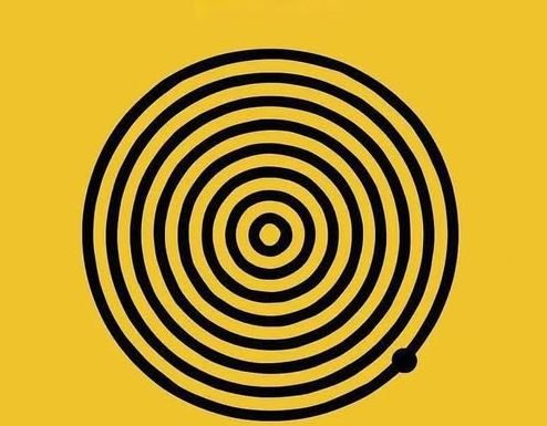 Broj krugova će Vam reći jeste li narcisoidna osoba