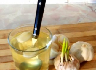 SVI ZNAMO KOLIKO JE LJEKOVIT BIJELI LUK, ALI OVO DO SADA NISTE ČULI: Voda od bijelog luka pravi ČUDA U ORGANIZMU, evo na šta sve utiče