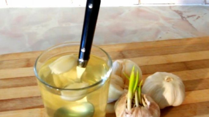 SVI ZNAMO KOLIKO JE LJEKOVIT BIJELI LUK, ALI OVO DO SADA NISTE ČULI: Voda od bijelog luka pravi ČUDA U ORGANIZMU, evo na šta sve utiče