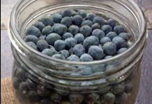 NajjačI prirodni lijek za šećernu bolest: obavezno zabilježite recept jer je njegova priprema jako jednostavna…