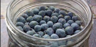 NajjačI prirodni lijek za šećernu bolest: obavezno zabilježite recept jer je njegova priprema jako jednostavna…