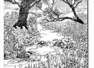 Mnogi su probali, ali nisu uspeli: Svako ko pronađe ženu na fotografiji ima natprosečnu inteligenciju