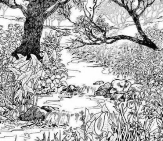 Mnogi su probali, ali nisu uspeli: Svako ko pronađe ženu na fotografiji ima natprosečnu inteligenciju