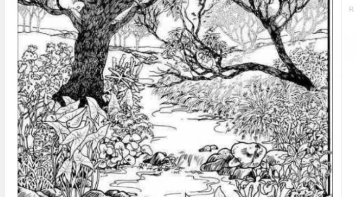 Mnogi su probali, ali nisu uspeli: Svako ko pronađe ženu na fotografiji ima natprosečnu inteligenciju