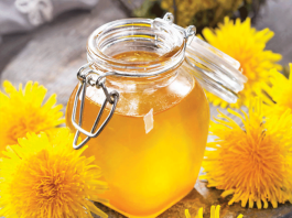 Džem od maslačka regeneriše jetru i čisti krv bolje od bilo kog lijeka: Evo kako se pravi!