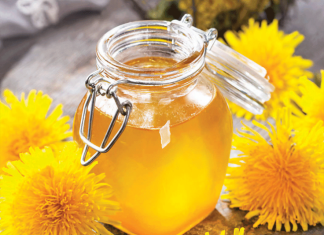 Džem od maslačka regeneriše jetru i čisti krv bolje od bilo kog lijeka: Evo kako se pravi!