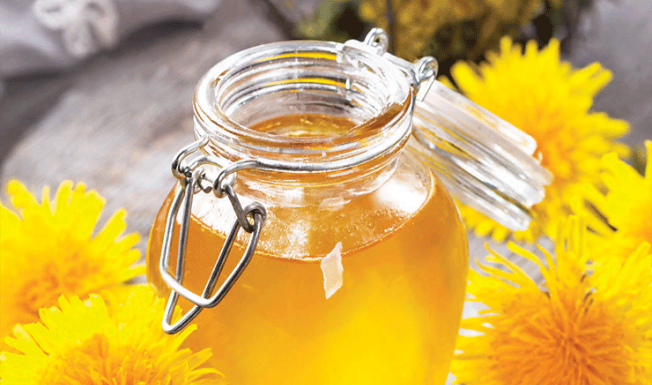 Džem od maslačka regeneriše jetru i čisti krv bolje od bilo kog lijeka: Evo kako se pravi!