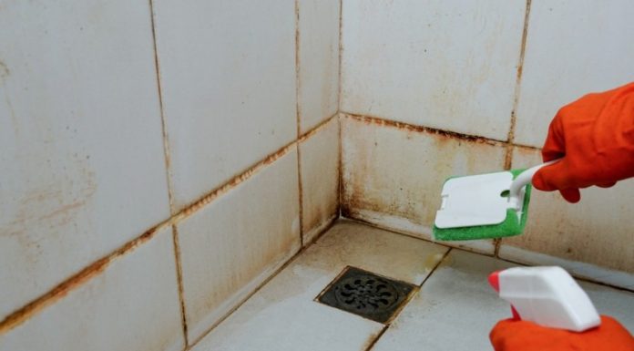 Kako da očistite ćoškove u tuš kabini? Razara kamenac, skine svu buđ i pločice čiste kao suza