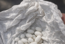 Pronašla sam čudne bijele kuglice u ruksaku svog 15-godišnjeg sina: on kaže da su to samo bomboni, ali mu ne vjerujem 😕