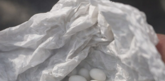 Pronašla sam čudne bijele kuglice u ruksaku svog 15-godišnjeg sina: on kaže da su to samo bomboni, ali mu ne vjerujem 😕