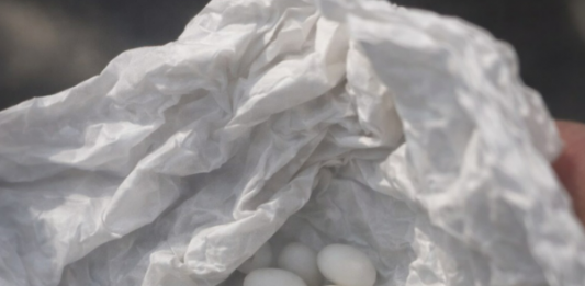 Pronašla sam čudne bijele kuglice u ruksaku svog 15-godišnjeg sina: on kaže da su to samo bomboni, ali mu ne vjerujem 😕