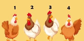 Šta ljudi misle o vama? Test od 4 petla sa 98% tačnosti otkriva da li vas drugi cene ili izbegavaju