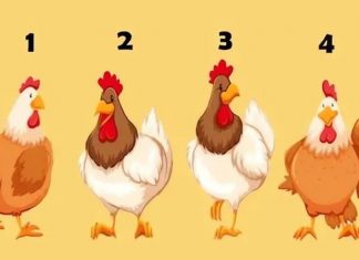 Šta ljudi misle o vama? Test od 4 petla sa 98% tačnosti otkriva da li vas drugi cene ili izbegavaju