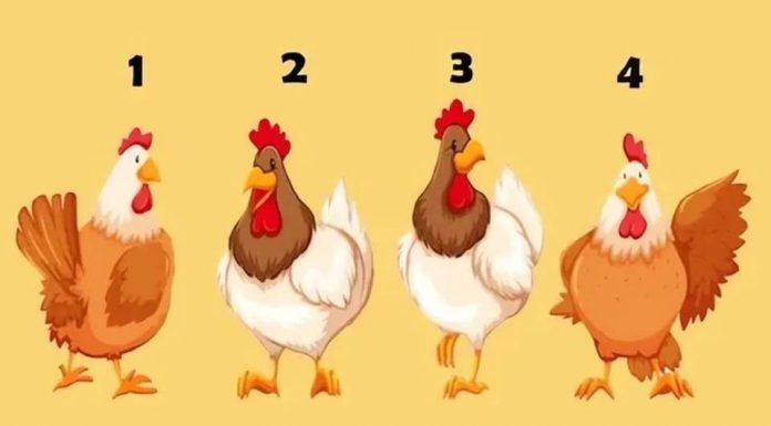 Šta ljudi misle o vama? Test od 4 petla sa 98% tačnosti otkriva da li vas drugi cene ili izbegavaju