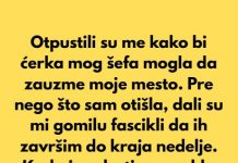 “Dobila sam otkaz da bi kćerka direktora zauzela moje mjesto – Slomila sam se, a onda…”