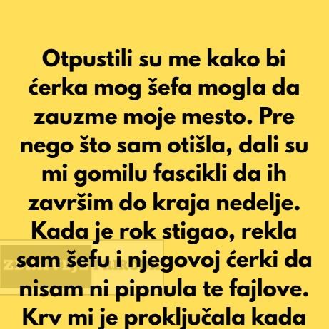“Dobila sam otkaz da bi kćerka direktora zauzela moje mjesto – Slomila sam se, a onda…”