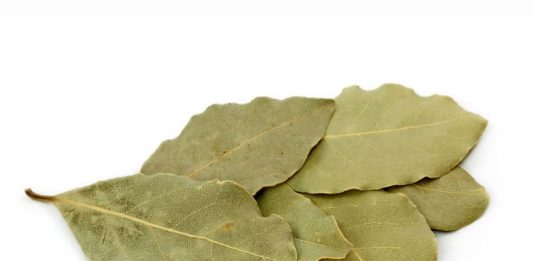 Stavite list lovora u čarapu: Prirodni lijek koji ublažava bolove tokom noći