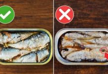 Prije nego što otvorite još jednu konzervu sardina, pogledajte ovo