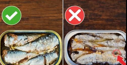 Prije nego što otvorite još jednu konzervu sardina, pogledajte ovo