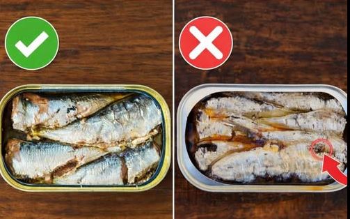 Prije nego što otvorite još jednu konzervu sardina, pogledajte ovo