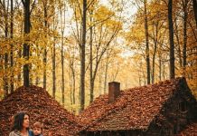 Iz ruševine do čuda: Udovica Flora u planinskoj kući pronašla blago, ali ono najvrednije nije bilo od zlata