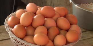 Zakopajte jaje u zemlju i bićete zahvalni