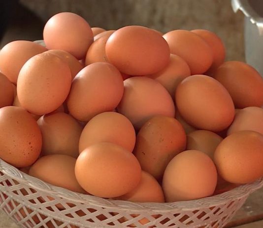 Zakopajte jaje u zemlju i bićete zahvalni