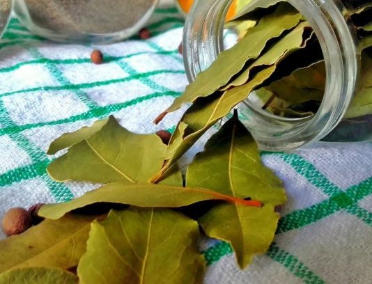 Nema više smrada u kući: TRIK sa lovorovim listom bez kojeg više nikada nećete imati problema!