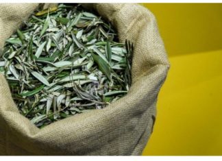 U BIBLIJI SE SPOMINJE 1000 PUTA: Skuhajte čaj koji pomaže kod liječenja od najtežih bolesti!