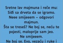 VIC: Majmun i lav