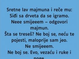 VIC: Majmun i lav
