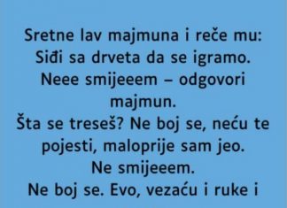 VIC: Majmun i lav