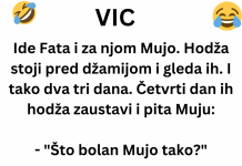 VIC DANA: Ide Fata i za njom Mujo