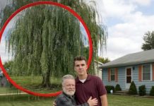 Moj deda, koji me je sam odgajao, preminuo je — nakon njegove sahrane, pronašao sam pismo u kojem mi nalaže da KOPAM ispod plačljive vrbe.