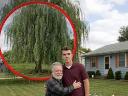 Moj deda, koji me je sam odgajao, preminuo je — nakon njegove sahrane, pronašao sam pismo u kojem mi nalaže da KOPAM ispod plačljive vrbe.